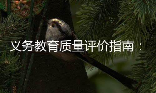 教育但是质量指南不够刚性