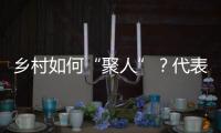 乡村如何“聚人”	？代表委员来支招