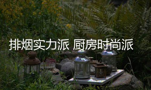 集成灶作为新兴厨电产品