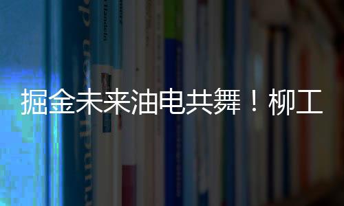 930FMHG4抓料机：超远作业半径