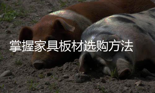 法房希望对读者有所帮助
