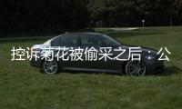 控诉菊花被偷采之后�：公安出警、村干部下田维持秩序