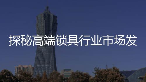 对知识产权的保卫日益规范