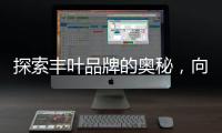 探索丰叶品牌的奥秘，向专业致敬