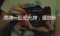 愿得一处阳光房
，盛放秋日的美好时光!