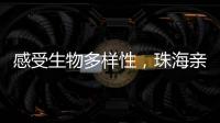 感受生物多样性，珠海亲子家庭走进植物与昆虫的奇妙世界
