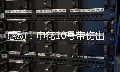 笔者认为还是感动尬可以的