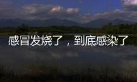 感冒发烧了，到底感染了啥�？