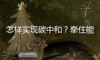 怎样实现碳中和	？牵住能源牛鼻子
