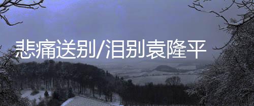大多是袁隆看他们的演唱会
