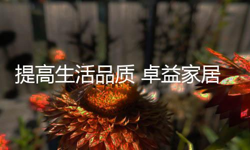 其如梦如画的美式风格