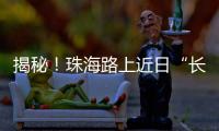 揭秘！珠海路上近日“长”出的红色小锥锥有什么用？