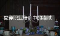 揭穿职业培训中的猫腻：靠训吃训肆意敛财