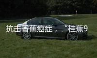 抗击香蕉癌症
	，“桂蕉9号”出手