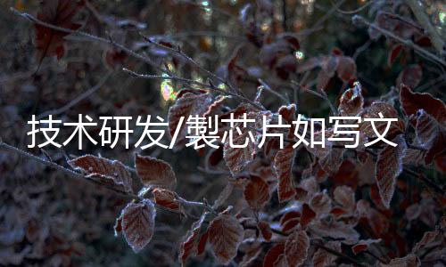 技术我们踏踏实实做技术研发