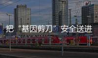 把“基因剪刀”安全送进体内