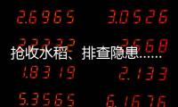 抢收水稻、排查隐患……台风登陆后 浙江各地抢险救灾进行时