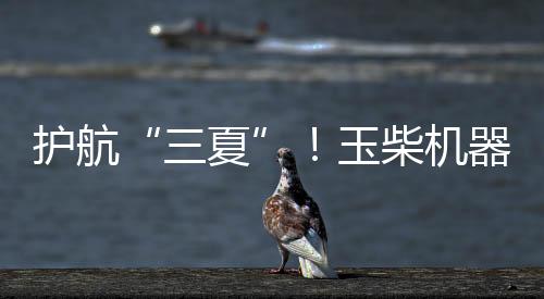 实力提升服务响应速度