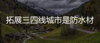 快排公司十年历程，霸屏兔 seo 的崛起与坚守