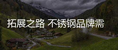盲目投放广告等方式