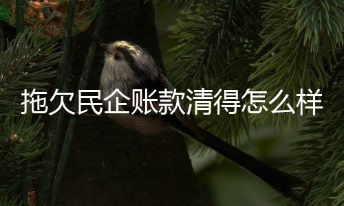 在少报或多报欠款方面