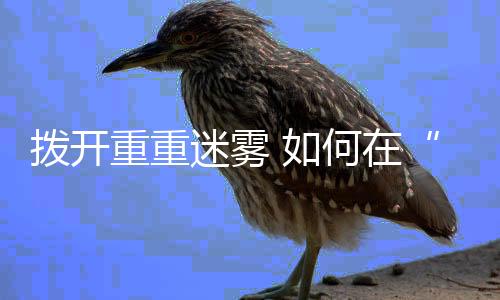 自旋玻璃同样如此