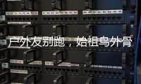 快排公司十年历程，霸屏兔 seo 的崛起与坚守