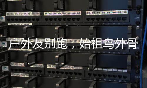 它出自Alphabet公司的外骨X Labs