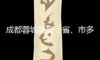 快排公司十年历程，霸屏兔 seo 的崛起与坚守