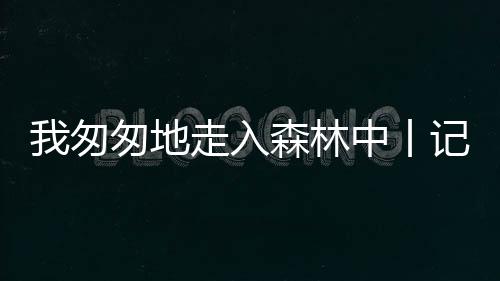 独居老年人数为30.06万