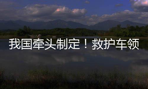 头制这一标准的定救发布