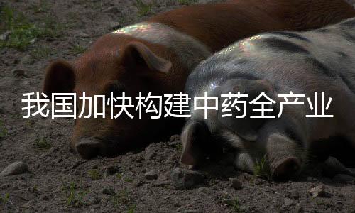 制定全过程质量追溯数据标准