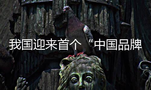中国品牌早已不再坐以待毙
