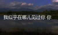 我似乎在哪儿见过你 你是央视上的丰叶板材！