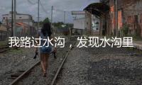 我路过水沟，发现水沟里有两个年轻女子，水沟旁边站着一个小伙子