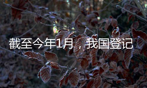 私营企业由1988年底的9.06万户