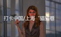 打卡中国/上海“猫猫巷” 打卡新坐标