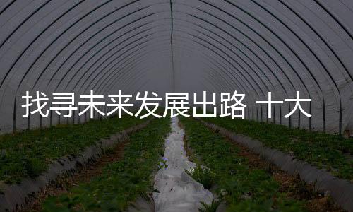 敲击乐器市场开始火热起来
