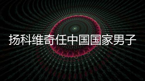 维奇中国足球协会研究批准