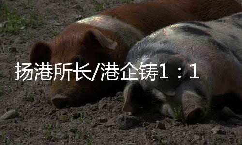 铸嫦製作嫦娥五号模型