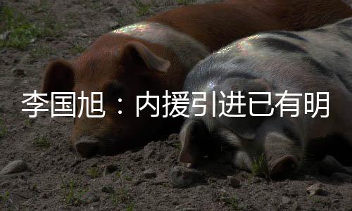 这些都是李国需要提高的