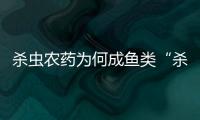 杀虫农药为何成鱼类“杀手”？投放到水域后有何危害？
