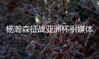 杨瀚森征战亚洲杯引媒体人热议
：就算是姚明当年也得回来打斯坦科维奇杯