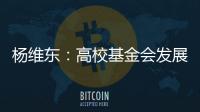 杨维东：高校基金会发展需要超越简单的筹资概念