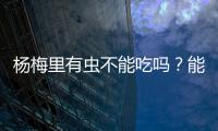 杨梅里有虫不能吃吗
	？能吃！