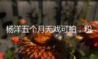 杨洋五个月无戏可拍，粉丝急盼回归娱乐圈	！