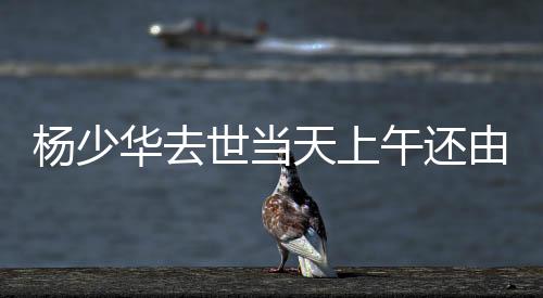 天上推轮态挺2018年2月15日