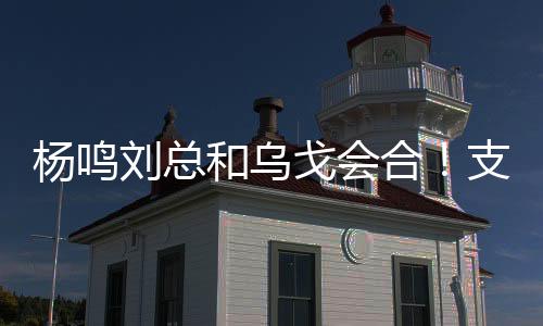 我一直相信杨鸣的眼光