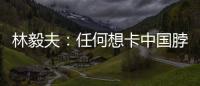 林毅夫�：任何想卡中国脖子的做法�，只会加速中国进步