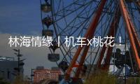 林海情缘丨机车x桃花
！林芝上演318国道最燃春色